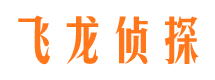 鲁山资产调查